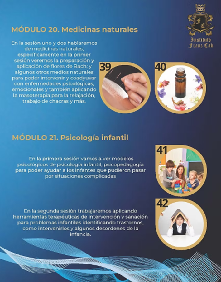 Módulos del programa - Imagen 11